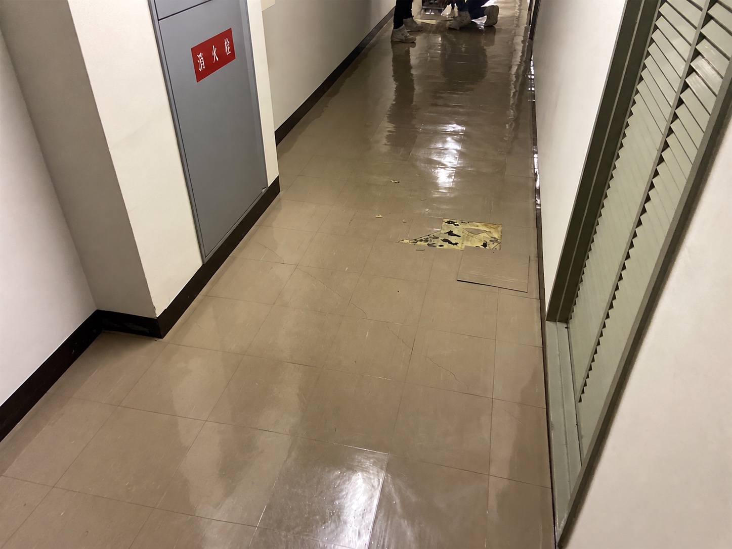 1. 廊下の施工前